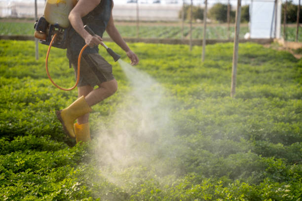 Best Pest Inspection Near Me  in Archbold, OH