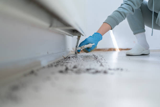 Best Mosquito Control Services  in Archbold, OH